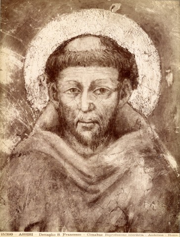 Anderson — Assisi - Dettaglio S. Francesco - Cimabue — particolare
